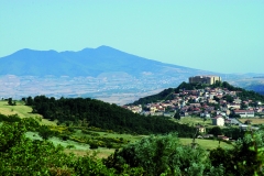cartolina4